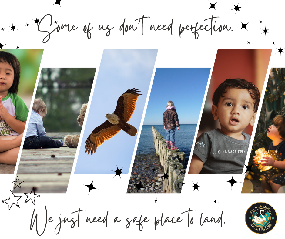 Some of us don’t need perfection … just a safe place to land