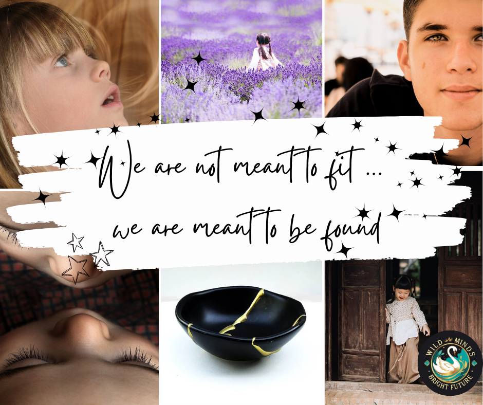 We are not meant to fit … we are meant to be found