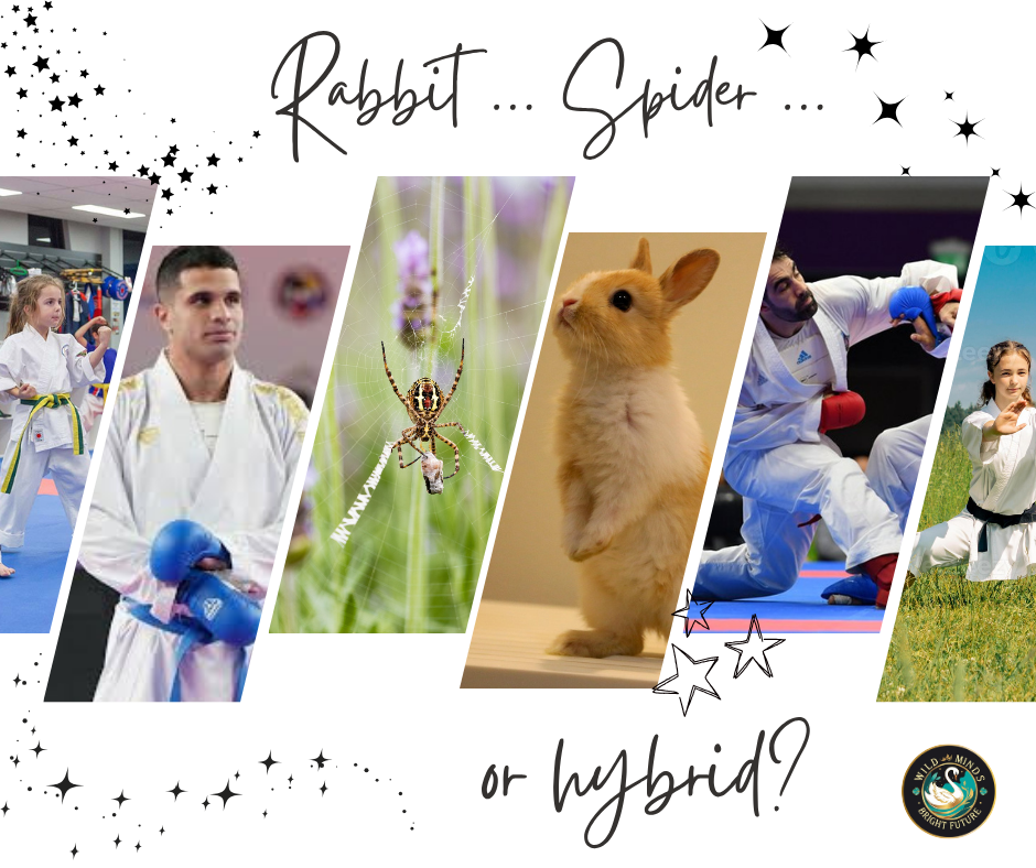 Rabbit, spider … or something else?